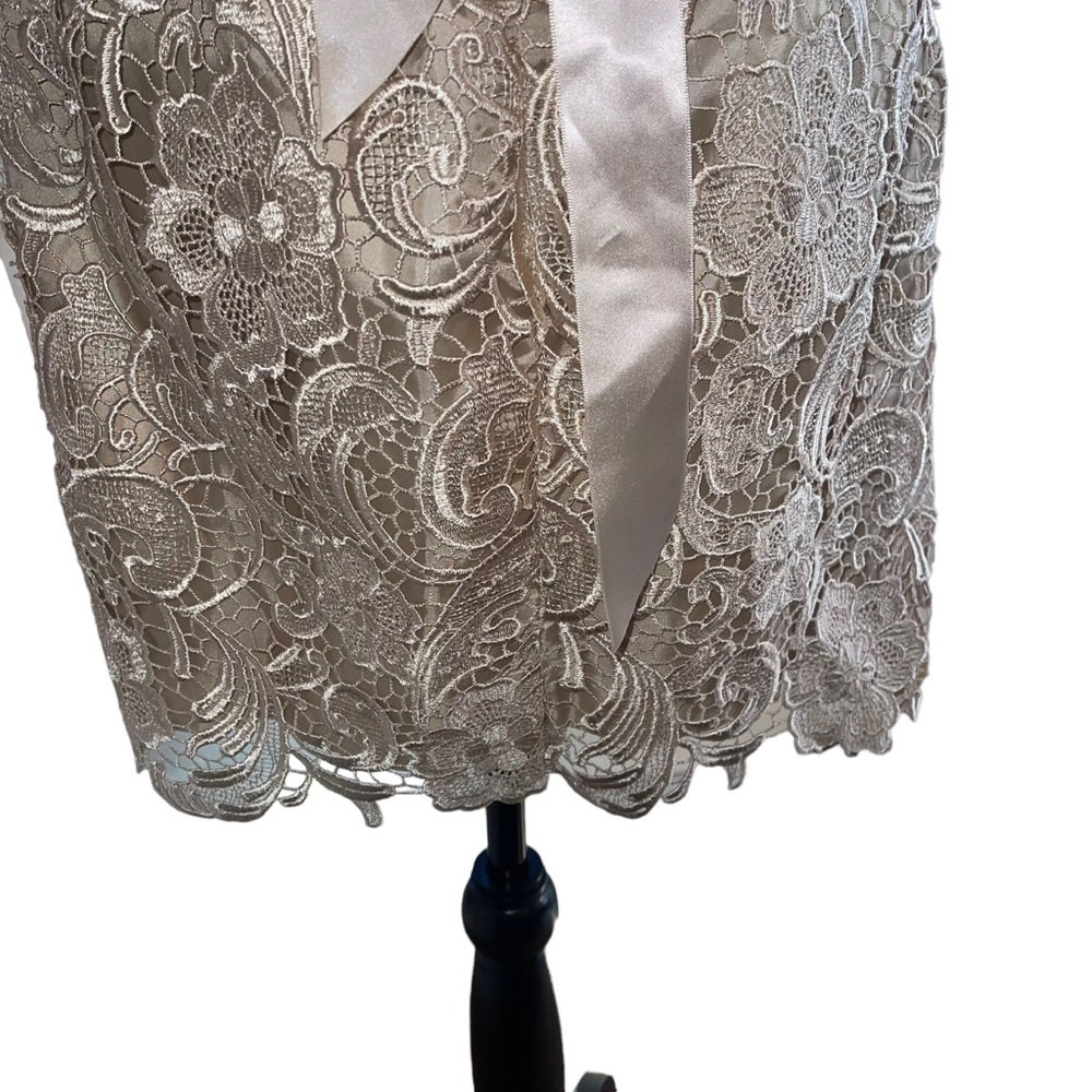 Adrianna Papell Boutique Women’s Sheath Dress Champagne Lace Over Lay Size 8 - Picture 10 of 10